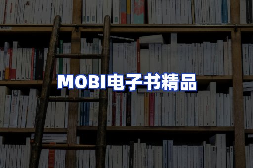 外文电子书产品